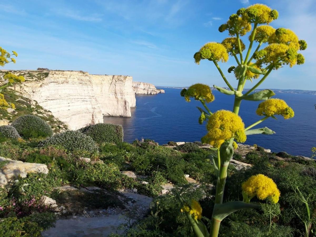 Ad Hoc B&B Il-Pergla Exteriér fotografie